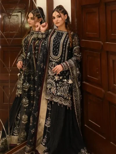 Heavy Faux Georgette With Heavy Embroidery - Launching New Designer Party Wear Look