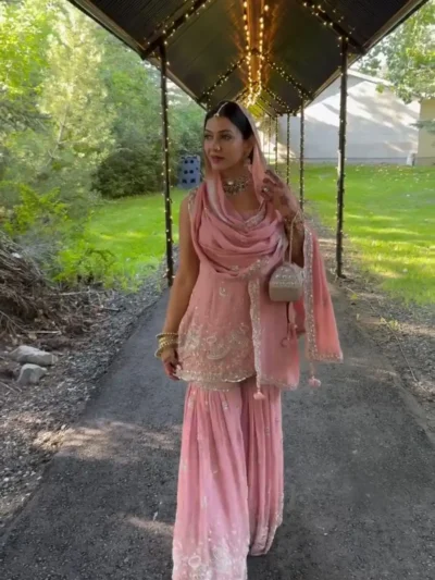 Stylish Light Pink Color - Heavy faux georgette with heavy embroidery