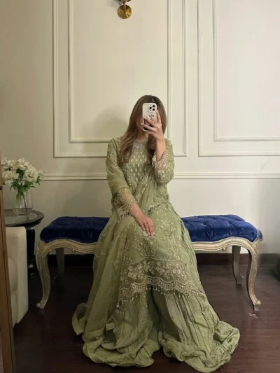 Beautiful Faux Georgette With Heavy Embroidery - Designer party wear look