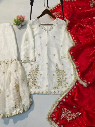 White Premium Garara Suit - DESIGNER AND ELEGANCE SARARA SUIT