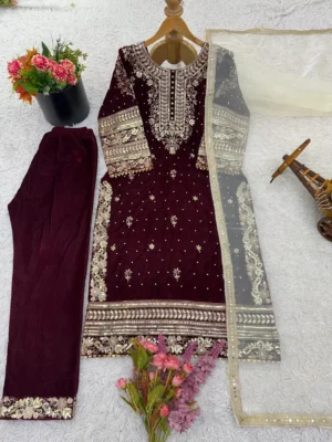 PRESENTING NEW STUNNING LOOK COLLECTION - PARTY WEAR VELVET DESIGNER