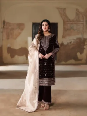 PRESENTING NEW STUNNING LOOK COLLECTION - PARTY WEAR VELVET DESIGNER