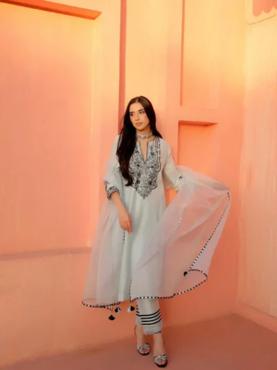 New Trendy Suits - Georgette Top Pent